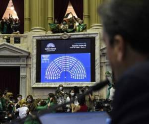 La sesión legislativa fue de 20 horas, de acuerdo con los medios argentinos. Fotos: AFP.