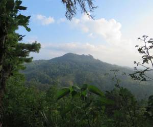 Vista panorámica del Refugio de Vida Silvestre Suyapa Luis Hernán Baca Valladares “Mero” en la Aldea de Suyapa.