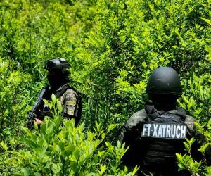 Elementos de las Fuerzas Armadas de Honduras custodian la extensa plantación en Iriona, en el departamento de Colón.