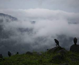 Cristóbal podría provocar lluvias desde el oriente de Texas hasta Florida este fin de semana y a principios de la semana que entra. Foto: AP