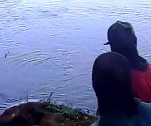 En un video aficionado se observa al animal descansando a la orilla del caudaloso río. Foto: Captura video