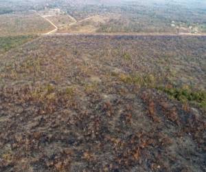 Los focos de incendio en la Amazonia superan ya los 70,000 en lo que va del año. Foto: EFE.