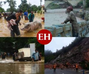 El territorio hondureño está siendo azotado sin clemencia por las fuertes lluvias de la tormenta tropical Eta. Las imágenes de esta galería son una recopilación de tomas que sin duda alguna marcarán la historia del país.