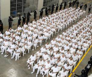 Los procesados fueron sacados uno a uno de las celdas de uno de los pabellones del Centro de Confinamiento del Terrorismo (Cecot), situado en las afueras de San Salvador, bajo estrictas medidas de seguridad, para luego ser ubicados en unas sillas blancas frente a unos televisores en los que su imagen se proyectaría hasta el juzgado en la capital salvadoreña. Aquí las imágenes que le dan la vuelta al mundo.