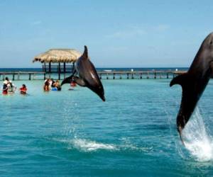 La isla de Roatán, Honduras fue calificada por el sitio especializado en turismo Trip Advisor, como el mejor destino de Centroamérica para este 2017 (Foto: EL HERALDO Honduras)