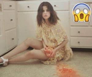 Zedd y Selena Gómez salieron durante unos meses desde enero hasta junio del 2015. Foto Instagram