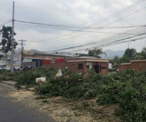 Los trabajos de excavación con maquinaria pesada iniciarán la próxima semana.Foto:El Heraldo