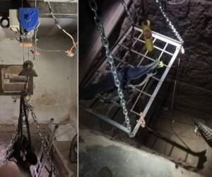 El hallazgo ha sido identificado por los agentes de Investigaciones de Seguridad Nacional (HSI). Foto: Immigration and Customs Enforcement.