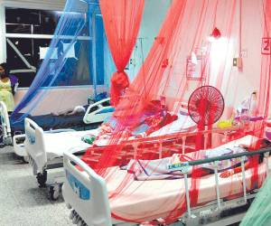 Los niños son los más vulnerables ante la enfermedad vectorial.