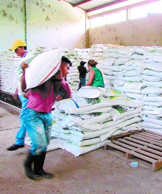 Productores piden recursos para iniciar cosechas a finales de abril