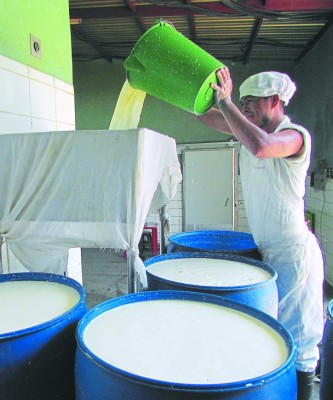 El agro tuvo exoneraciones por 175 millones de lempiras en 2017