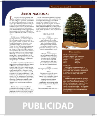 EL HERALDO celebra el mes de la patria