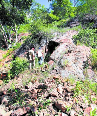 Rotunda oposición a reactivar minería