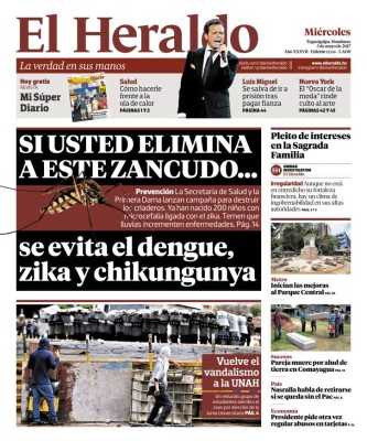 Si usted elimina a este zancudo se evita el dengue, zika y chicungunya