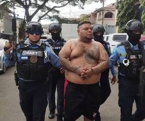 La Unidad Fiscal de Operaciones Especiales (UF-OPE) logró que un juez decretara la detención judicial contra Ronal Antonio López Valle, alias “Cabeza de Toro” y presunto integrante de la Pandilla 18, acusado de los delitos de asociación terrorista, tráfico ilegal de armas de fuego de uso prohibido y tráfico de municiones de uso prohibido.