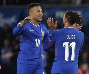 La selección de Francia disputará su décimo-séptima participación en un Mundial.