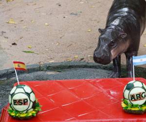 Narongwit Chodchoi, director del centro, explicó a los medios que la actividad busca entretener a los visitantes, a la vez que aportar enriquecimiento y ejercicio al animal.