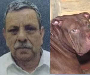 Una tragedia ocurrió en el sector 4 de la colonia Hato de Enmedio, en Tegucigalpa, Distrito Central, cuando un perro de raza pitbull mató a su dueño y dejó herido a su hijo dentro de su propia vivienda.