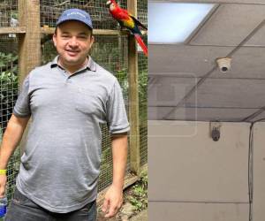 El crimen de Marvin Fernández, quien fue asesinado dentro de un bufete en el centro de San Pedro Sula, es investigado por las autoridades, que buscan determinar si el ataque iba dirigido contra otra persona. ¿Qué pasó antes?