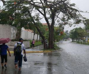 Para las demás regiones se esperan condiciones secas, anunció el pronosticador de turno, Will Ochoa.
