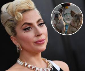 En el momento del secuestro, Lady Gaga ofreció una recompensa de 500 mil dólares por recuperar sus perros.