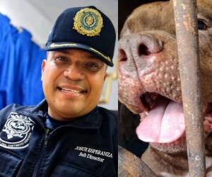 Josué Esperanza, subdirector de la Policía Municipal del Distrito Central, se convirtió en una de las figuras más comentadas en redes sociales luego de su reacción durante el Caso Zeus, perro pitbull involucrado en la muerte de un adulto mayor en la colonia Hato de Enmedio.