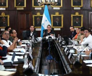 Cada ministro deberá informar a la Presidenta de la República sobre las condiciones de la zona bajo su responsabilidad para la toma de decisiones inmediatas.