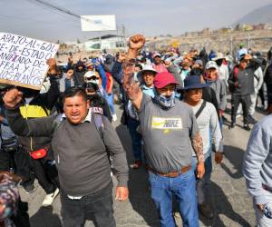 El gobierno anticipó la semana pasada el reinicio desde este 4 de enero de las movilizaciones que exigen la renuncia de Boluarte.