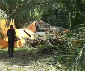 La avioneta de fumigación agrícola cayó en una finca bananera de La Lima, Cortés; el piloto sobrevivió y fue trasladado a un hospital con varias lesiones.