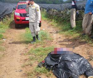 Henry Medrano murió mientras realizaba labores agrícolas durante una tormenta eléctrica en El Porvenir, Atlántida.