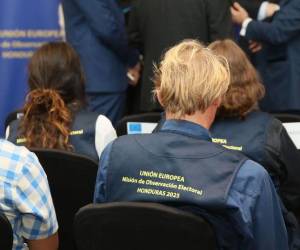 La misión pidió respetar el voto y resolver disputas por la vía legal.