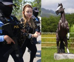 Yosary Yasmín Valle Aguilar, hija de Miguel Arnulfo Valle Valle, uno de los líderes del extinto cártel de los Valle Valle, fue detenida este día. Ella y su familia gozaron de muchísimos lujos, varios de ellos demasiado excéntricos.
