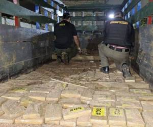 La supuesta droga había sido decomisada por la Dirección de Lucha Contra el Narcotráfico (DLCN).