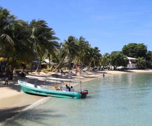 Desde su creación en 2006, Zolitur se convirtió en una herramienta para atraer inversión y promover el desarrollo turístico de Islas de la Bahía.