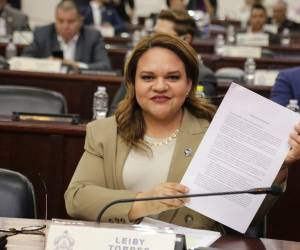 La propuesta ahora será analizada por la comisión de dictamen correspondiente.