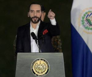 En el documento de 42 páginas, se señala al al Director de Centros Penales, Osiris Luna, y el director de Reconstrucción del Tejido Social, Carlos Marroquín, actuales funcionarios del gobierno de El Salvador, a quienes se les acusa de participar de los encuentros con los pandilleros.