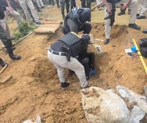 La droga habría sido escondida por la MS-13 tras huir de un operativo.