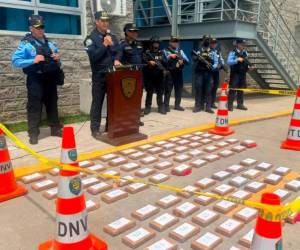 La Dirección Nacional Policial Antidrogas ha incautado en lo que va de 2026 un total de 929 kilos de cocaína.