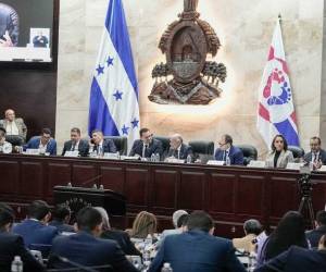 El congresista lamentó que el proyecto haya permanecido estancado en administraciones pasadas por falta de voluntad política.