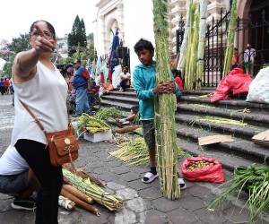 Desde municipios cercanos, emprendedores llegan al centro capitalino para vender ramitos de olivo, símbolo de fe previo a la Semana Santa.