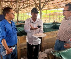 Autoridades de la SAG recorrieron las zonas afectadas por las inundaciones para conocer de primera mano las necesidades de los productores.