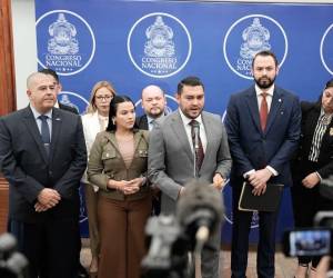 La Comisión de Relaciones Internacionales e Integración Regional brindó un informe este lunes.