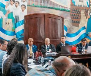 ​El cronograma de trabajo de la comisión prevé convocar en los próximos días a los representantes de las organizaciones empresariales y del sector privado.
