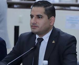 El congresista busca reducir los obstáculos legales que enfrentan madres solteras, aunque también en caso de padres solteros.