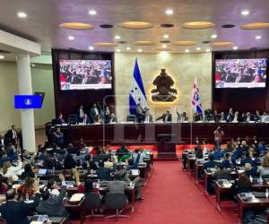 El compromiso de la comisión es entregar un producto que sea aceptable para todas las partes, permitiendo que la discusión pase de lo técnico a lo político en el menor tiempo posible.