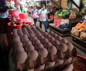 El presidente de Artículo 19 también cuestionó la capacidad de las autoridades para vigilar los precios y detectar posibles abusos contra los consumidores.