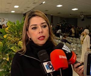 La diputada María Antonieta Mejía denuncia que el partido de gobierno busca debilitar instituciones.
