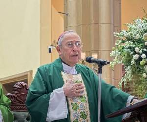 El cardenal Rodríguez pidió a los líderes dejar la doble moral a un lado.