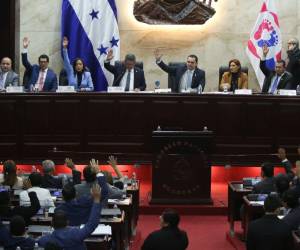 El Congreso aprobó un masivo paquete de amnistías.