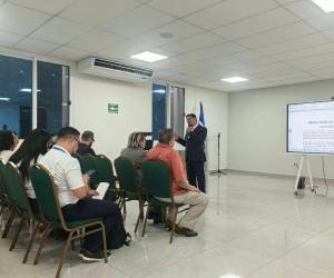 La propuesta de ley fue presentada al presidente de la Comisión de Salud del Congreso Nacional, Roberto Cosenza, quien la llevará al pleno del Legislativo.